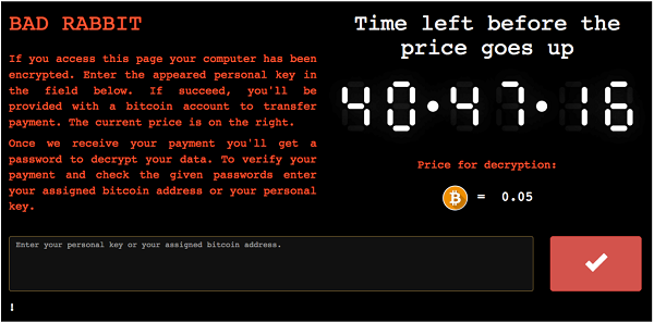 Screenshot of the payment page stating: "To verify your payment and check that the given passwords enter your assigned bitcoin address or your personal key."