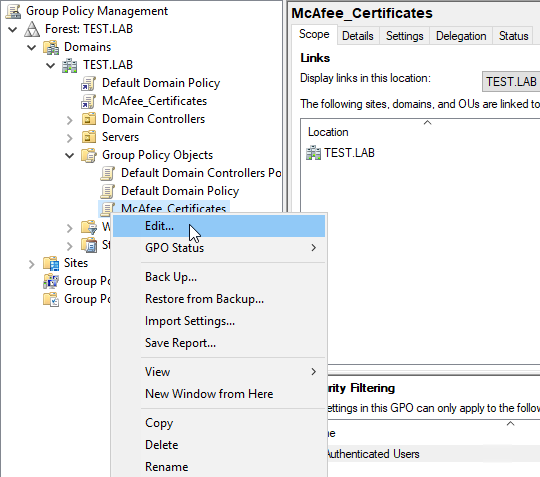 Group Policy Object showing the Edit page